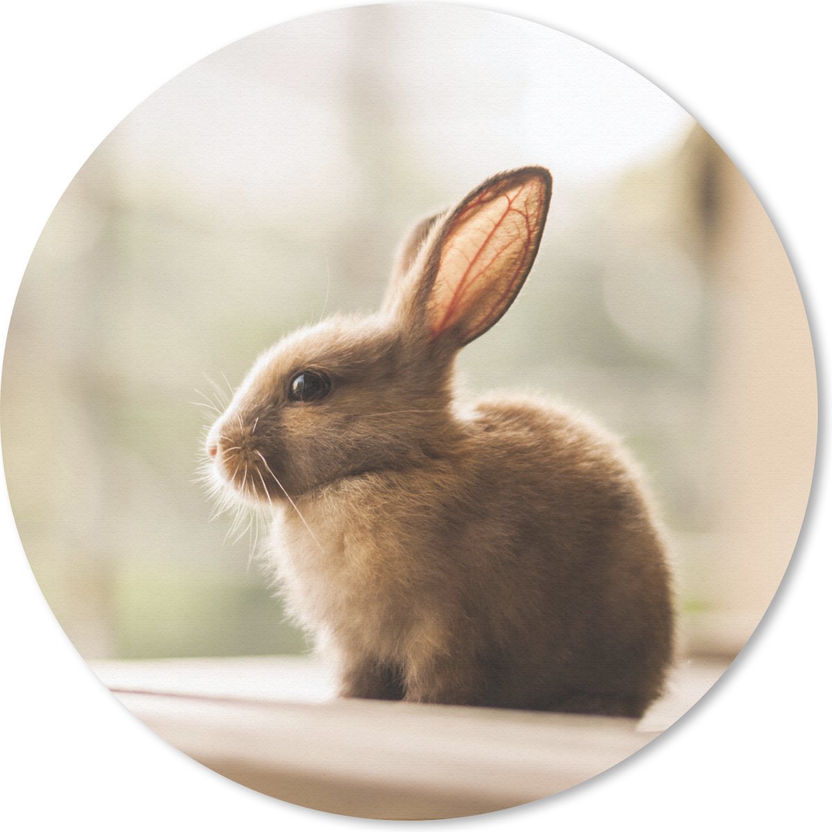 Muismat rond 50x50 cm - Mousepad Konijn - Baby - Dier - Ronde muismatten