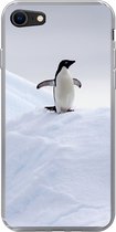 Geschikt voor iPhone SE 2020 hoesje - Pinguïn - IJs - Winter - Siliconen Telefoonhoesje