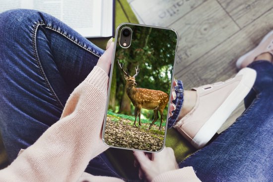 Coque iPhone XR - Cerf - Forêt - Animal - Siliconen - Sinterklaas - Noël - Cadeaux - Cadeaux de chaussures