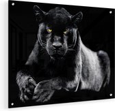Artaza Glasschilderij - Zwarte Panter - 50x40 - Plexiglas Schilderij - Foto op Glas