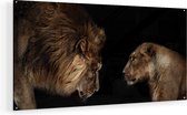 Artaza Glasschilderij - Leeuw En Leeuwin - 120x60 - Groot - Plexiglas Schilderij - Foto op Glas