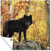 Posters de jardin Loup - Rocher - Arbre - 50x50 cm - Toile de jardin