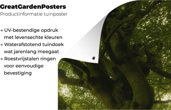 Poster de jardin Vert forêt sombre - 40x80 cm