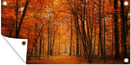 Schuttingposter Een bos met herfstachtige kleuren - 200x100 cm - Tuindoek