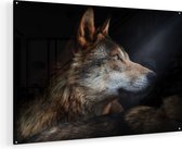 Artaza Glasschilderij - Wolvenkop Met Een Zonnestraal - Wolf - 105x70 - Plexiglas Schilderij - Foto op Glas