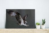 Canvas Schilderij Visarend - Water - Roofvogel - 30x20 cm - Wanddecoratie