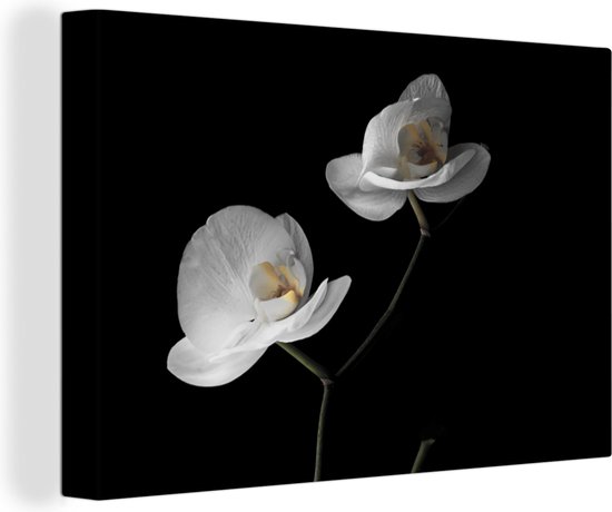 Tableau sur toile Orchidée - Fleurs - Zwart - Wit - Nature morte - 60x40 cm - Décoration murale
