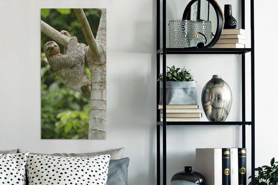 Peinture sur toile Un paresseux s'accroche à une branche - 40x80 cm - Décoration murale Art