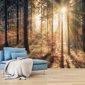 Zelfklevend fotobehang -  Herfst in een bos  , Premium Print