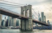 De beroemde brug tussen Brooklyn en Manhattan in New York - Foto op Forex - 60 x 40 cm