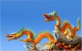 Chinese draak bij de tempel van de liggende Boeddha - Foto op Forex - 120 x 80 cm