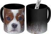 Magische Mok - Foto op Warmte Mok - Foto van een Cavalier King Charles-spaniël in de sneeuw - 350 ML