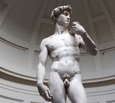 David, Michelangelo's meesterwerk in Florence - Fotobehang (in banen) - 450 x 260 cm