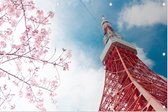 Zicht de communicatietoren van Tokio bij een kersenbloesem - Foto op Tuinposter - 60 x 40 cm