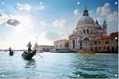 Gondelier voor de Santa Maria della Salute in Venetië - Foto op Tuinposter - 60 x 40 cm