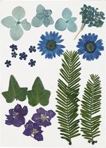 gedroogde blauwe bloemen en bladeren 19 stuks multicolor
