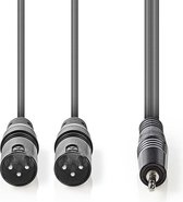 Nedis Gebalanceerde Audiokabel | 2x XLR 3-Pins Male | 3,5 mm Male | Vernikkeld | 3.00 m | Rond | PVC | Donkergrijs | Kartonnen Sleeve