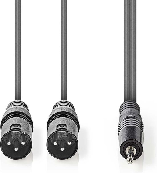 Stereo-Audiokabel | 6,35 mm Male – 2x RCA Male | 2,0 m | Zwart
