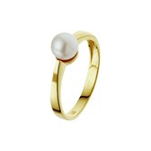 Ring Parel