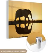 MuchoWow® Glasschilderij 50x50 cm - Schilderij acrylglas - Silhouet van een olifant bij zonsondergang - Foto op glas - Schilderijen