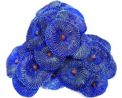 Ornamenten voor Aquariums, 4 Stuks, Kunstmatige Koraal Ornament, Koraal, Onderwater Plant voor Visbak Decoratie (Blauw Koraal)
