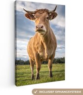 Canvas Schilderij Koe - Bruin - Natuur - 40x60 cm - Wanddecoratie