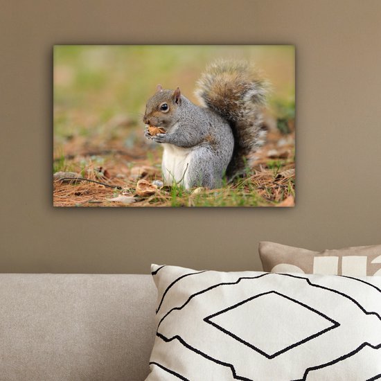 Tableau sur toile Écureuil avec cacahuète - 30x20 cm - Décoration murale