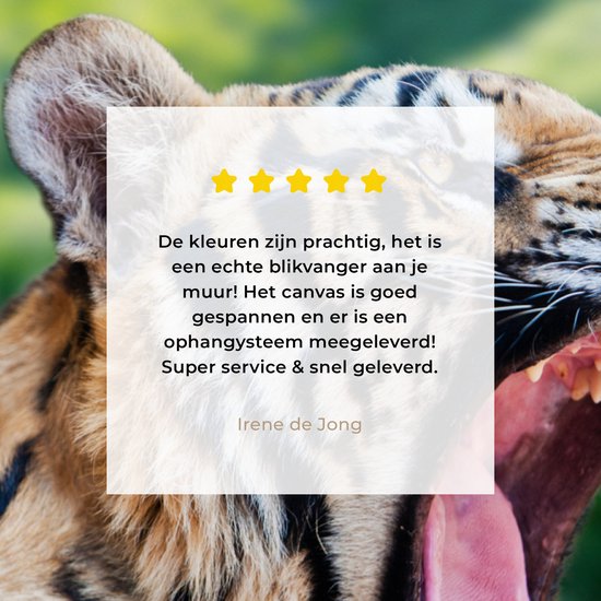 Tableau Toile Tigre - Tête - Forêt - 50x50 cm - Décoration murale