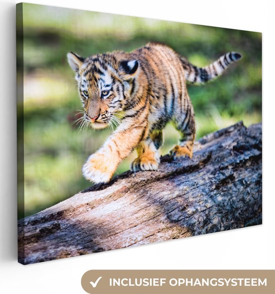 Jeune tigre marche sur un tronc d'arbre Toile 80x60 cm - Tirage photo sur toile (Décoration murale salon / chambre) / Peintures sur toile Animaux