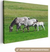 Canvas Schilderij Paarden - Dieren - Gras - 60x40 cm - Wanddecoratie