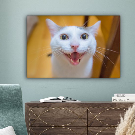 Chat souriant gros plan 90x60 cm - Tirage photo sur toile (Décoration murale salon / chambre)