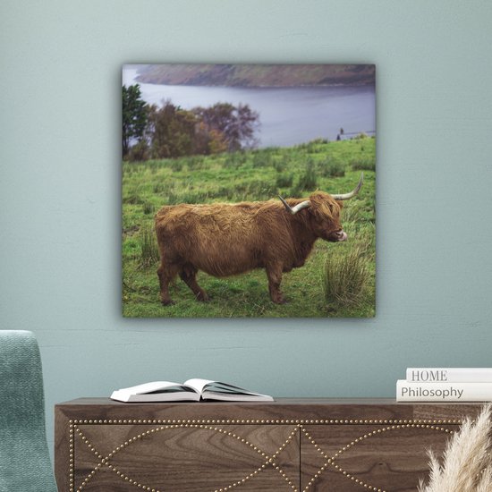 Peinture sur toile Highlander écossais - Herbe - Water - Animaux - 50x50 cm - Décoration murale