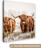 Schotse hooglander - Koe - Dieren - Canvas - 20x20 cm - Wanddecoratie