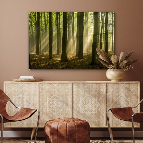 La lumière du soleil d'automne brille sur les vieux arbres Plexiglas 120x80 cm - Tirage photo sur Glas (Décoration murale plexiglas)