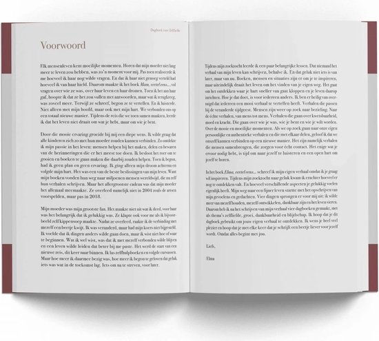 Open dagboek 'Dagboek voor Zelfliefde' met een inleiding en ruimte voor tekst.
