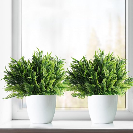 GreenDream® 3 Stuks Kunstplanten - Kamerplanten - Nep Planten Vetplanten Cadeautip 2