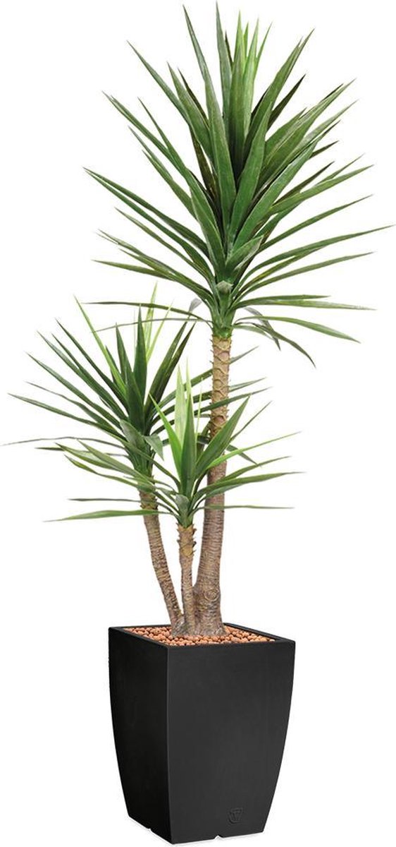 HTT Decorations HTT - Kunstplant Yucca in Genesis vierkant antraciet H200 cm Groen