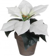 kunstplant Poinsettia 20 cm keramiek wit