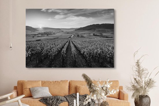 Toile Peinture France - Zwart - Wit - Vignoble - 180x120 cm - Décoration murale XXL