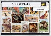 Buideldieren – Luxe postzegel pakket (A6 formaat) : collectie van verschillende postzegels van buideldieren – kan als ansichtkaart in een A6  envelop - authentiek cadeau - kado - kaart - buidel - kangaroe - kangoeroe -  koala - tasmaanse duivel