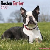 Boston Terriers 2022 - 18-Monatskalender mit freier DogDays-