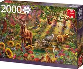 Jumbo Premium Collection Puzzel Magische Bos bij Zonsondergang - Legpuzzel - 2000 stukjes - Meerdere Kleuren