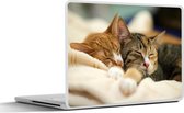 Laptop sticker - 17.3 inch - Katten - Slapen - Kleed - 40x30cm - Laptopstickers - Laptop skin - Cover