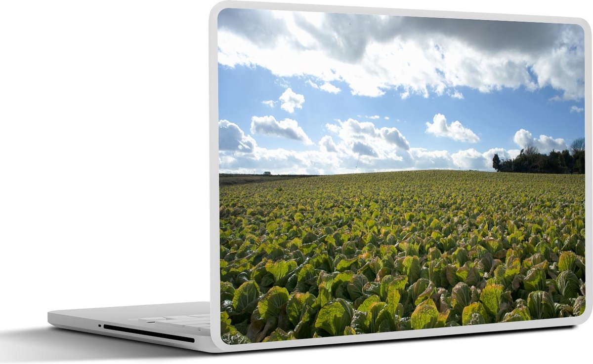 Afbeelding van product SleevesAndCases  Laptop sticker - 15.6 inch - Een veld van Chinese kool met een bijzonder bewolkte lucht