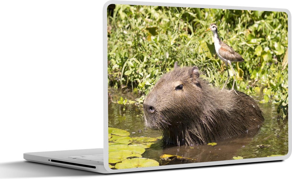 Laptop sticker - 15.6 inch - Een Capibara zit in het water met een vogel op zich - 36x27,5cm - Laptopstickers - Laptop skin - Cover