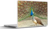 Laptop sticker - 13.3 inch - Pauwen - Vogels - Veren