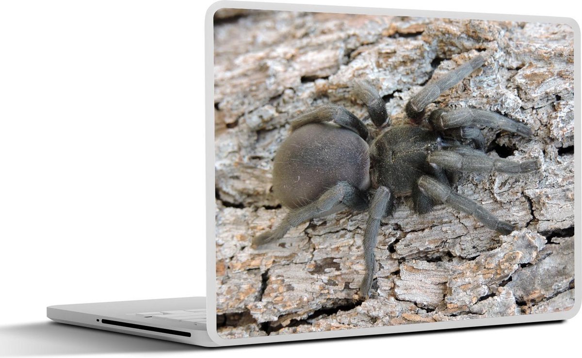 Afbeelding van product SleevesAndCases  Laptop sticker - 11.6 inch - Zwarte tarantula op boom