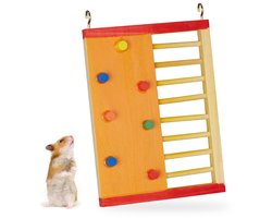 hamster speelgoed - klimrek - 19 x 14 cm - accessoires muizenkooi - gekleurd