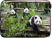 Laptophoes 13 inch - Panda's - Bamboe - Bladeren - Laptop sleeve - Binnenmaat 32x22,5 cm - Zwarte achterkant