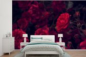 Papier peint - Papiers Papier peint photo Roses - Rouge - Zwart - Largeur 330 cm x Hauteur 220 cm